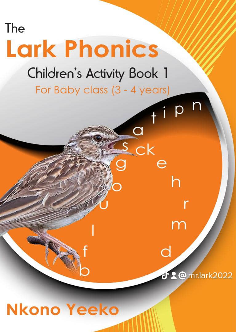The Lark Phonics Children's Activity Book 1 for Baby Class (3-4) - Image 2