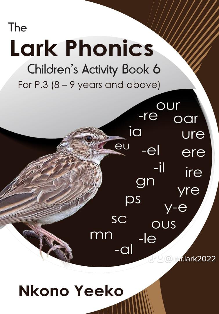 The Lark Phonics Children's Activity Book 6 for P.3 (8-9) - Image 2