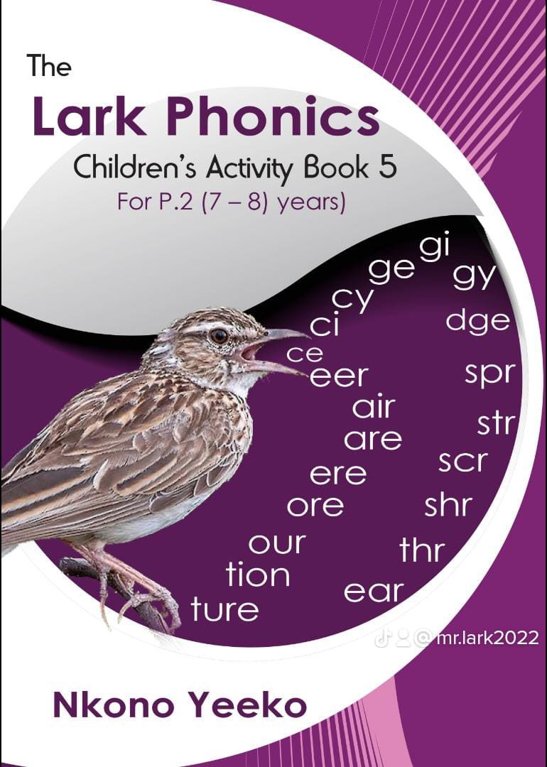 The Lark Phonics Children's Activity Book 5 for P.2 (7-8) - Image 2