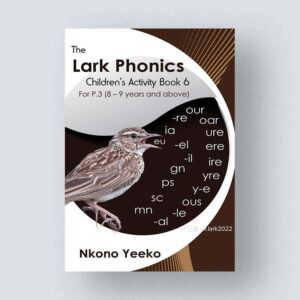 The Lark Phonics Children's Activity Book 6 for P.3 (8-9)